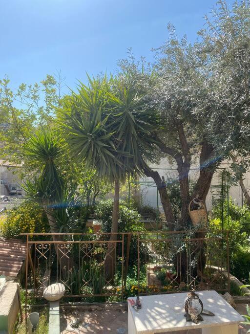 Central House With Beautiful Garden Amman Esterno foto