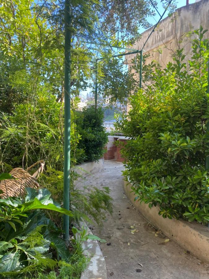 Central House With Beautiful Garden Amman Esterno foto