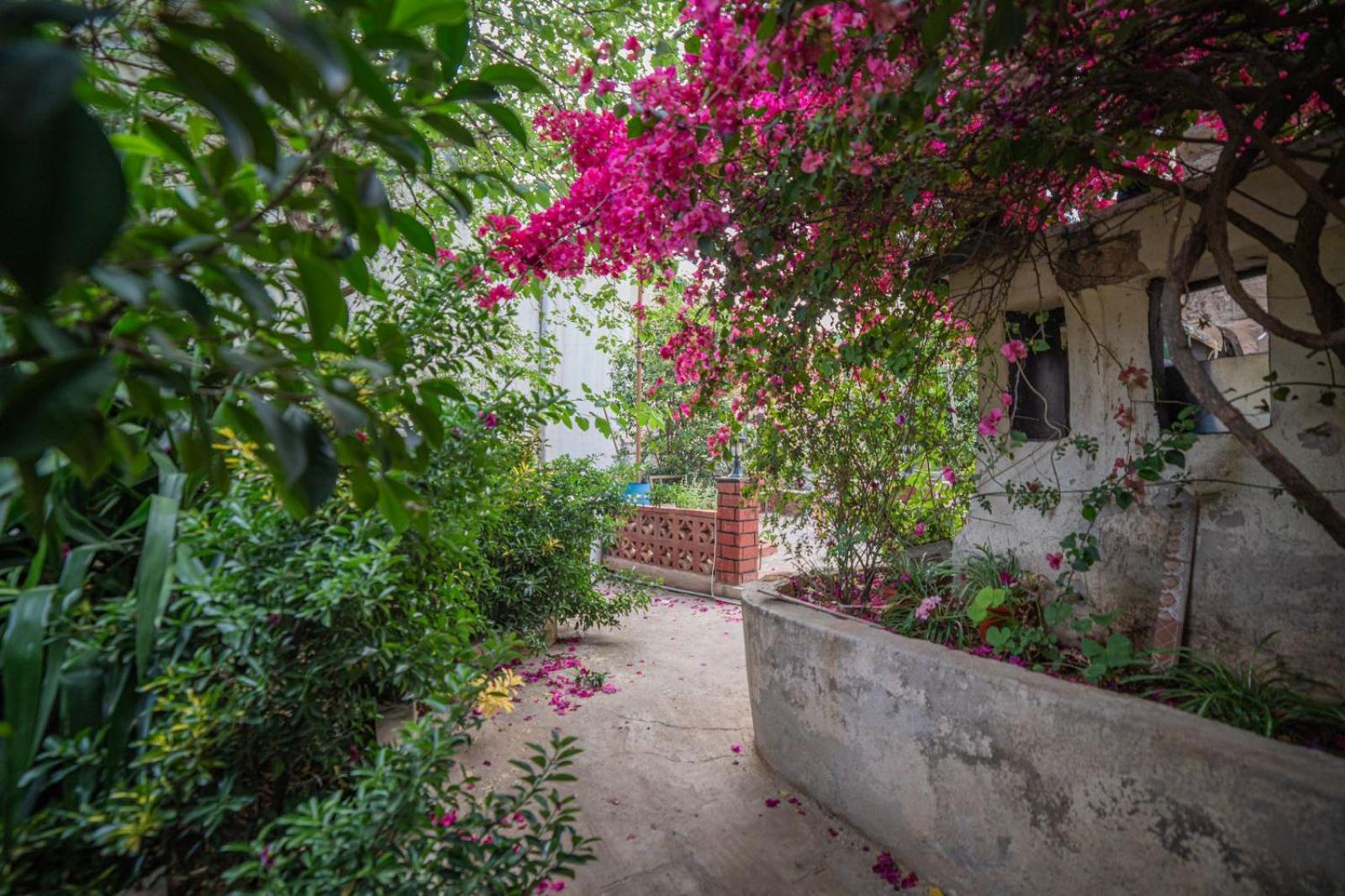 Central House With Beautiful Garden Amman Esterno foto
